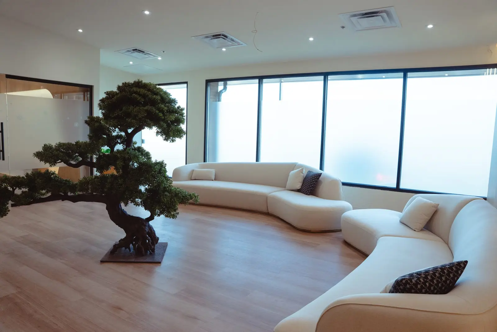 The Claye lounge with a bonsai and curved sofa beside tall windows